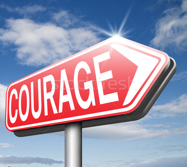 Odwaga nie zdolność strach ból niebezpieczeństwo Zdjęcia stock © kikkerdirk