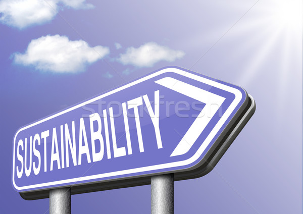 Sostenibilità sostenibile energie rinnovabili economia agricoltura energia Foto d'archivio © kikkerdirk