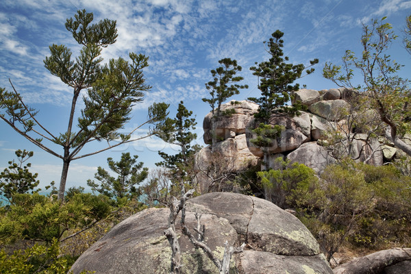 [[stock_photo]]: Pin · arbres · magnétique · île · queensland · Australie