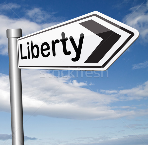 liberty Stock photo © kikkerdirk
