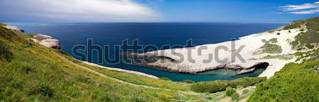 white chalk cliffs eroded coastline Stock photo © kikkerdirk