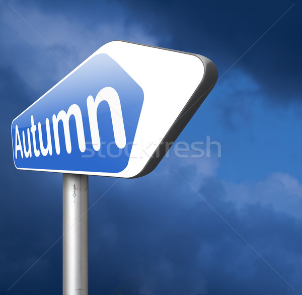 next autumn Stock photo © kikkerdirk