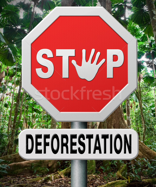 Stoppen tropischen Regenwald amazon Stock foto © kikkerdirk