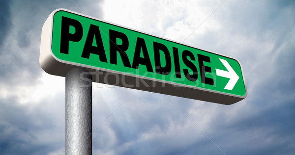 paradise Stock photo © kikkerdirk