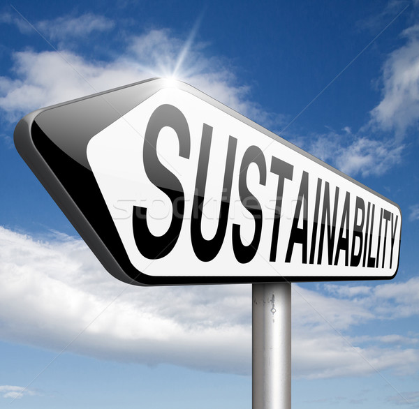 持続可能性 持続可能な 再生可能な 緑 経済 太陽 ストックフォト © kikkerdirk
