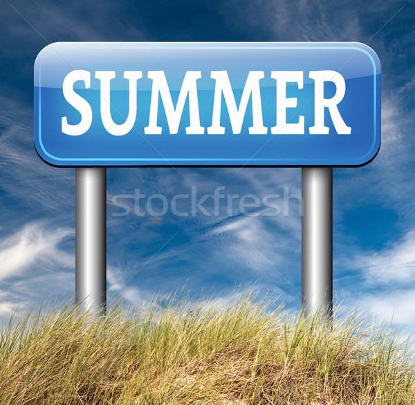 summer time Stock photo © kikkerdirk