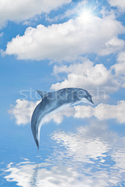 Delphin Bild springen Wasser Fisch Sommer Stock foto © Kirschner