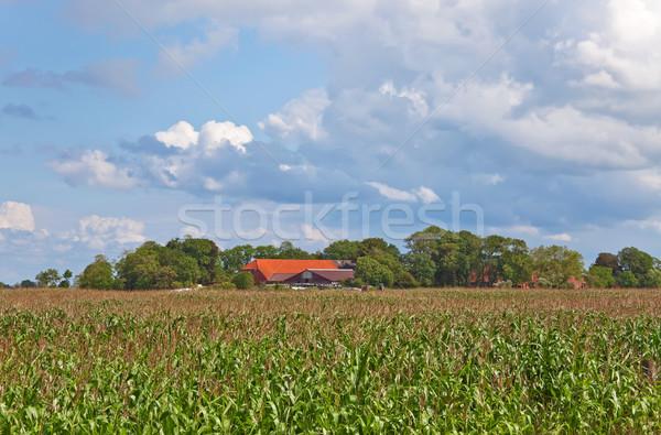 Stock foto: Kornfeld · Bauernhof · Bild · nördlich · Deutschland · Gebäude