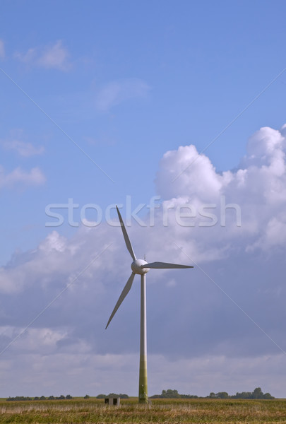 Wind generator afbeelding natuur groene planten Stockfoto © Kirschner