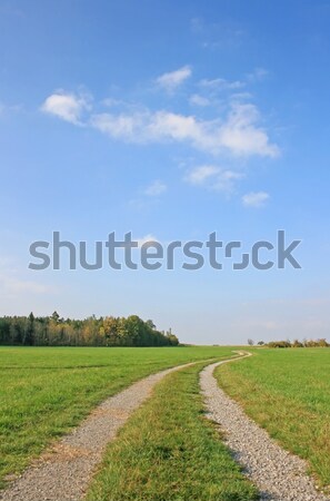 Ländlichen Weg Bild Landstraße Himmel Wolken Stock foto © Kirschner