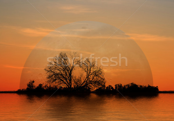 Bild Wasser Natur Meer Mond Kunst Stock foto © Kirschner