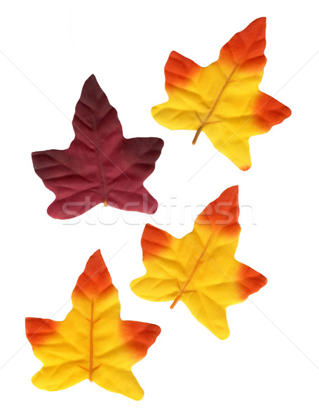 Decoration Leaves Stock photo © Kirschner