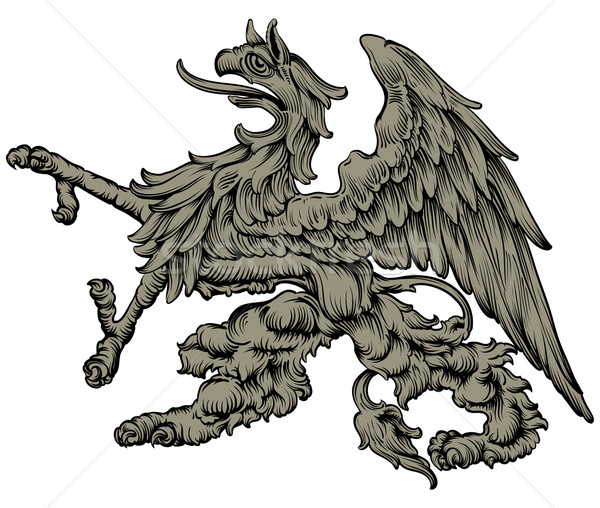 Griffioen tekening mythisch gebruikt middeleeuwse heraldiek Stockfoto © kjolak