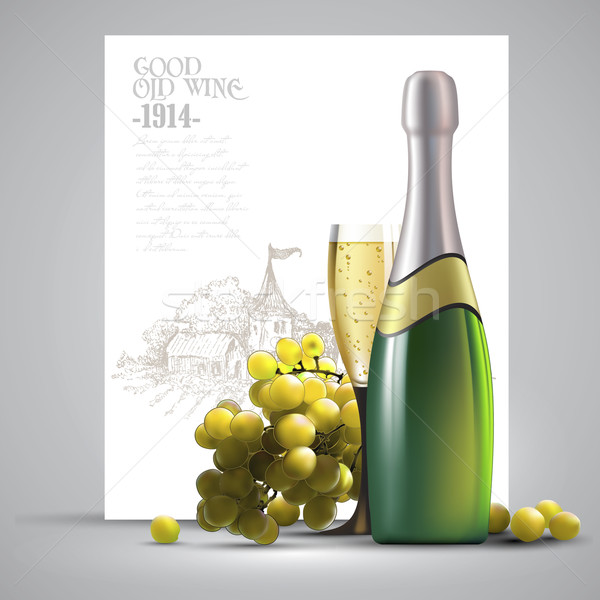 Wein Weinrebe Illustration nützlich Designer Arbeit Stock foto © kjolak