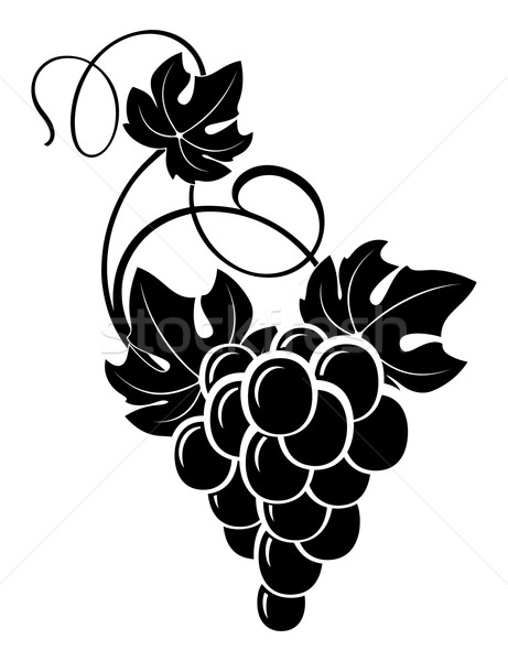 Weinrebe Zeichnung dekorativ Haufen Trauben Blätter Stock foto © kjolak