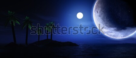 3D render of palm tree island with planets Stock photo © kjpargeter