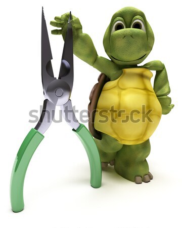 tortoise with a frozen blank road sign Stock photo © kjpargeter