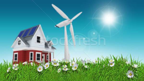 3D render of daisies in grass with house and wind turbine blurre Stock photo © kjpargeter