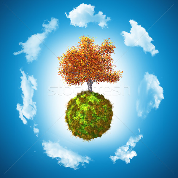 3D Walnut tree on grassy globe Stock photo © kjpargeter