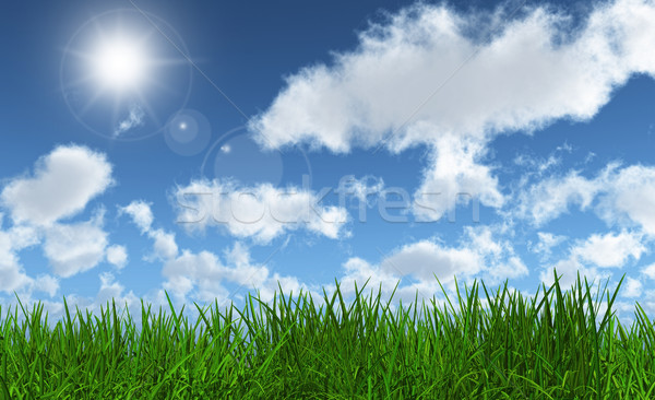 Green grass with a sunny blue sky Stock photo © kjpargeter
