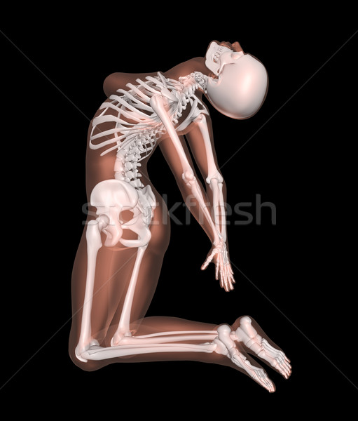 Foto stock: Feminino · esqueleto · ioga · posição · 3d · render · médico