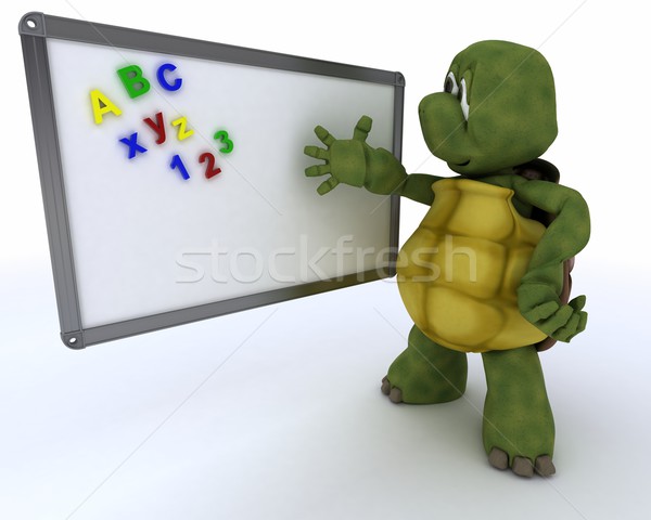 tortoise with White class room drywipe marker board Stock photo © kjpargeter