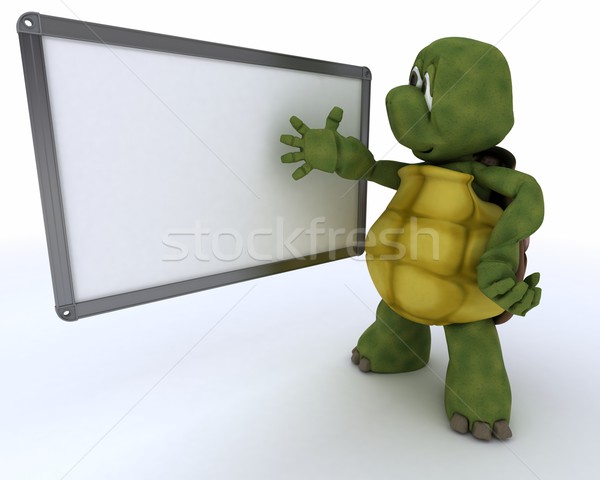 Stock photo: tortoise with White class room drywipe marker board