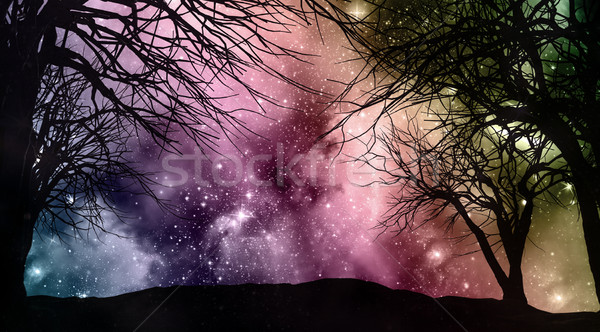 Starfield night sky with tree silhouettes Stock photo © kjpargeter