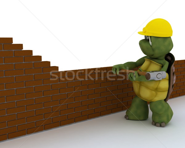 tortoise building contractor Stock photo © kjpargeter