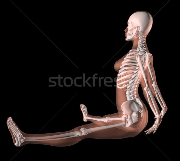 3D female body anatomy stock illustration. Illustration of posture