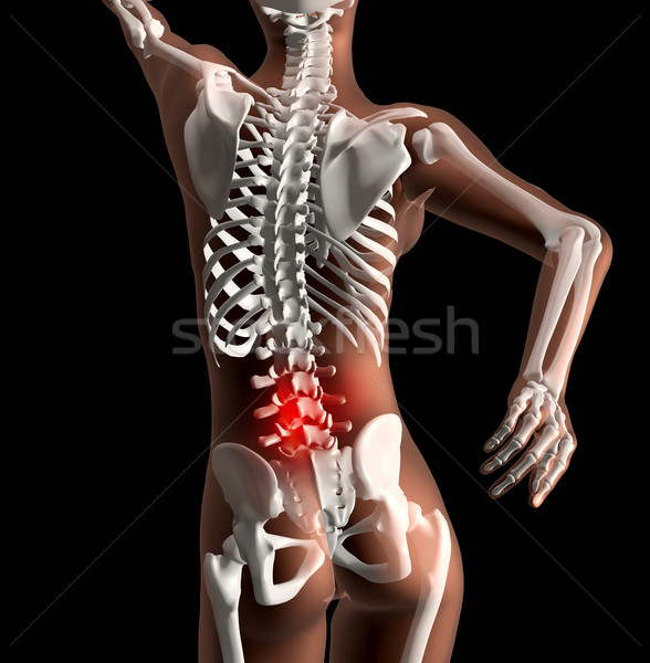 女 骨架 腰痛 三維渲染 疼痛 背面 商業照片 © kjpargeter