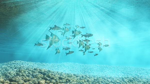 3D underwater background with shoal of fish Stock photo © kjpargeter