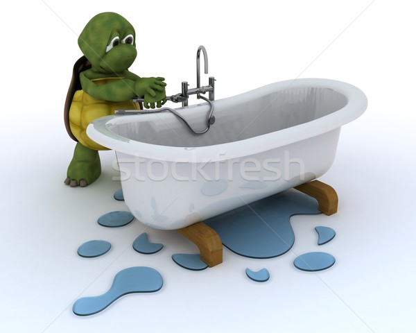 tortoise plumbing contractor Stock photo © kjpargeter