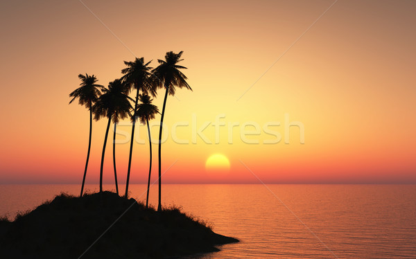 Palm tree island against a sunset sky Stock photo © kjpargeter