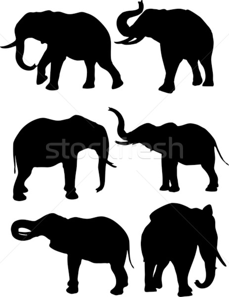 Stock fotó: Elefántok · sziluettek · különböző · sziluett · elefánt