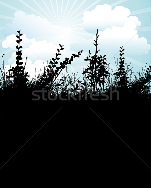 [[stock_photo]]: Feuillage · silhouette · ciel · bleu · herbe · soleil · coucher · du · soleil