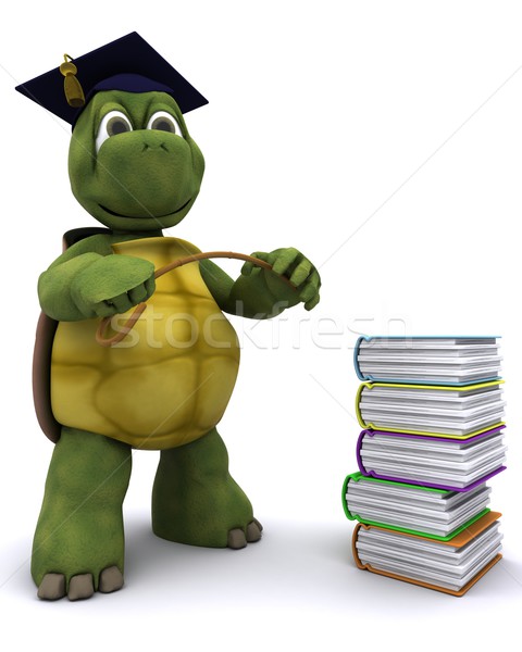Tortoise teacher with a stack of books Stock photo © kjpargeter