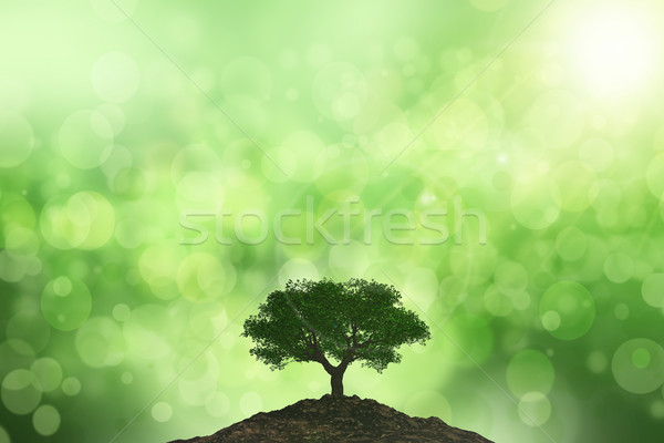 3D background of the sun shining onto a tree against a bokeh bac Stock photo © kjpargeter