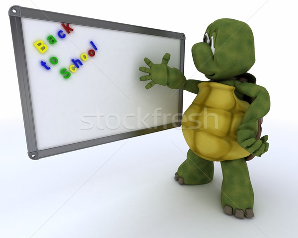 Stock photo: tortoise with White class room drywipe marker board