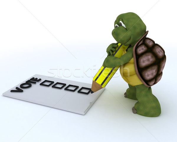 tortoise casting a vote in election Stock photo © kjpargeter