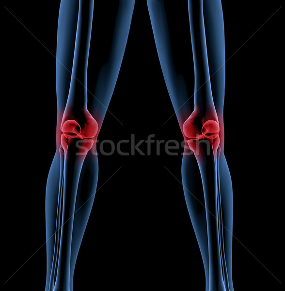 Legs of a medical skeleton Stock photo © kjpargeter
