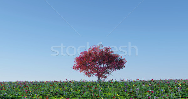 Maple tree in poppy landscape Stock photo © kjpargeter