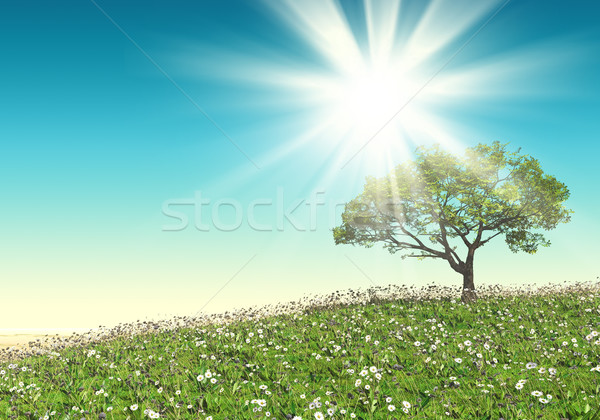 3D arbre paysage Daisy champ d'herbe soleil [[stock_photo]] © kjpargeter