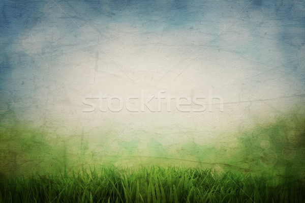 Grunge Landschaft Stil abstrakten Gartengestaltung Frühling Stock foto © kjpargeter