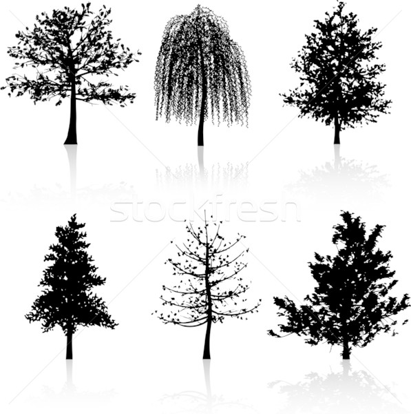 Tree silhouettes  Stock photo © kjpargeter