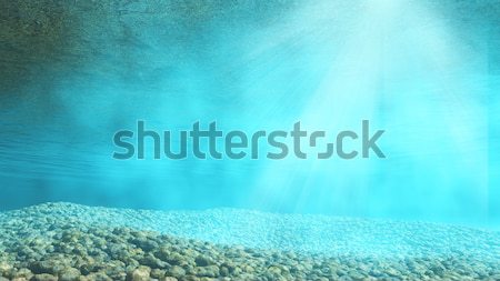 3D podwodne 3d plaży morza ocean Zdjęcia stock © kjpargeter