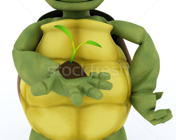 tortoise nurturing a  seedling plant  Stock photo © kjpargeter