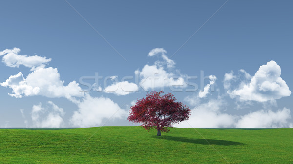Geniş ekran ağaç manzara 3d render akçaağaç gökyüzü Stok fotoğraf © kjpargeter