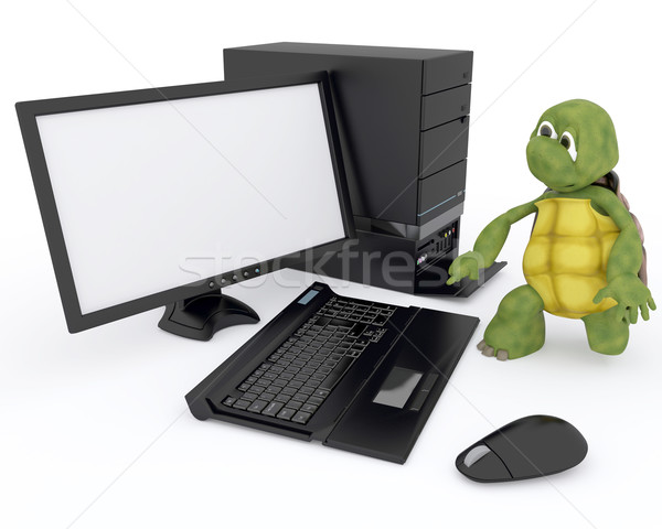 tortoise with a computer Stock photo © kjpargeter