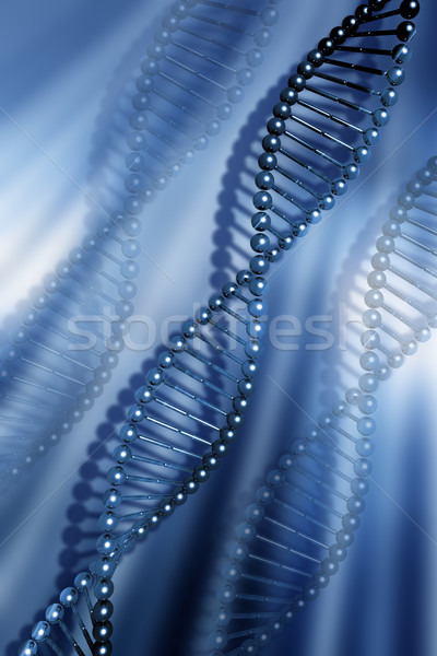 DNA strands Stock photo © kjpargeter